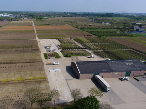 Drone foto Locatie Paardendreef